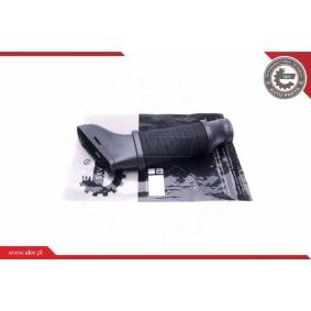 Comprar Tubo flexible de aspiración, filtro de aire de ESEN SKV 43SKV913 a bajo precio de 62,68 €