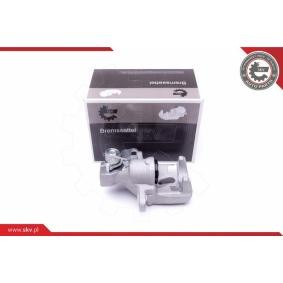 Bremssattel 50SKV073