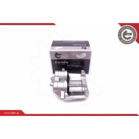 Bremssattel 50SKV173
