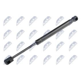 Acquista Ammortizzatore pneumatico cofano motore da NTY AE-AU-072 a buon mercato per soli 13,86 €