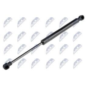 Gasfeder, Heckscheibe AE-TY-019