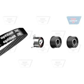Achetez des Kit de distribution OPTIBELT KT 1384 à prix pour 118,06 €