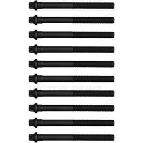 Compre Jogo de parafusos da cabeça do motor da REINZ 14-19190-01 a um preço baixo por 14,50 €