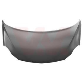 Motorhaube 3703660