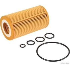 Ölfilter J1310815 für ROVER