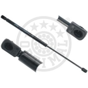 Heckklappendämpfer AG-50342