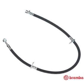 Bremsschlauch T 28 002 von BREMBO günstig für 24,99 € online kaufen
