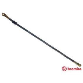 Bremsschlauch T 41 001 von BREMBO günstig für 18,52 € online kaufen