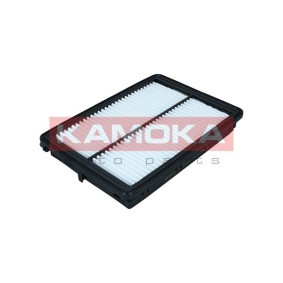 Luftfilter F242401