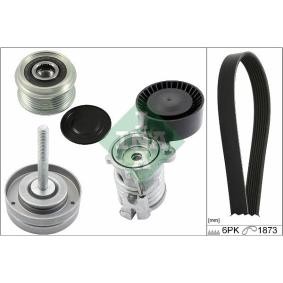 Acquista Kit Cinghie Poly-V da INA 529 0090 20 a buon mercato per soli 105,30 €