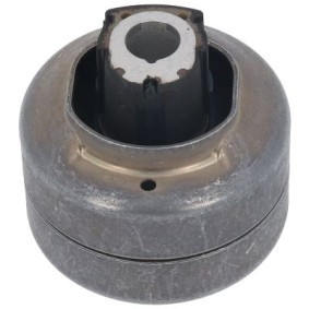 Achskörperlager 53894
