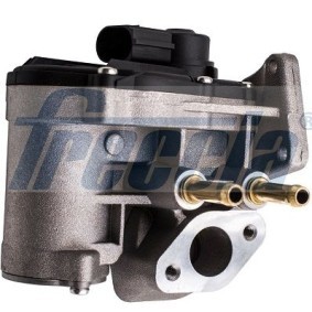 AGR-Ventil EGR12-194 von FRECCIA günstig für 73,48 € online kaufen