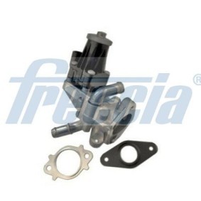 Acquista Valvola EGR da FRECCIA EGR12-205 a buon mercato per soli 162,61 €