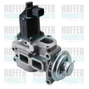 AGR-Ventil 7518726 für MITSUBISHI