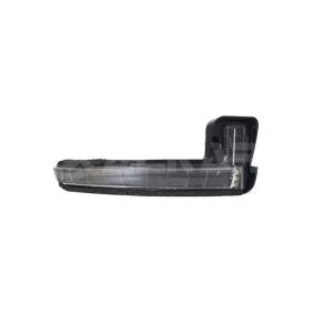 Blinker 6202809