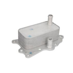 Acquista Radiatore olio motore da THERMOTEC D40001TT a buon mercato per soli 63,86 €