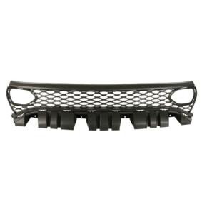 Kühlergrill 6502-07-0932990SP