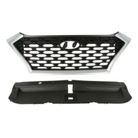 Kühlergrill 6502-07-3178990P