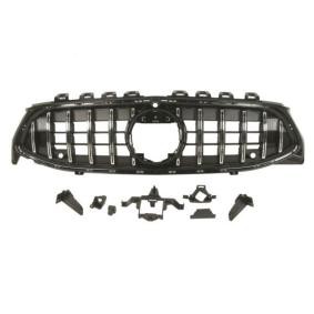 Kühlergrill 6502-07-3516990P