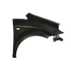 Kotflügel 6504-04-2032314P
