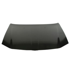 Motorhaube 6803-00-0939280AP