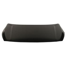 Motorhaube 6803-00-3281280P