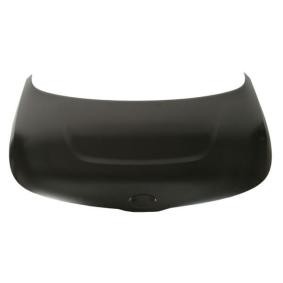 Motorhaube 6803-00-3283281P