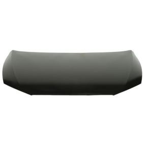 Motorhaube 6803-00-6619280Q