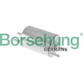Compre Filtro de combustível da Borsehung B10479 a um preço baixo por 52,54 €