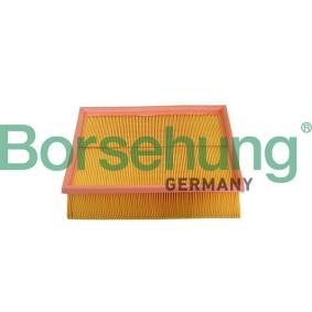 Køb Luftfilter af Borsehung B10545 til den lave pris 126,61 DKK