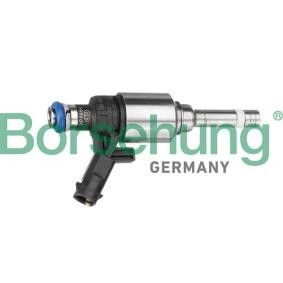 Achetez des Injecteur Borsehung B11156 à prix pour 81,50 €