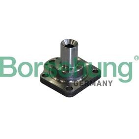 Comprar Cubo de rueda de Borsehung B11291 a bajo precio de 28,21 €