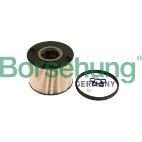 Compre Filtro de combustível da Borsehung B12201 a um preço baixo por 22,80 €