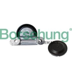 Acquista Rullo tenditore cinghia Poly-V da Borsehung B12202 a buon mercato per soli 32,36 €