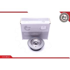 Nockenwellenversteller 39SKV503