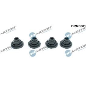 Compre Junta de tapa de balancines de DR.MOTOR AUTOMOTIVE online para NT400 CABSTAR (F24F) a precios moderados