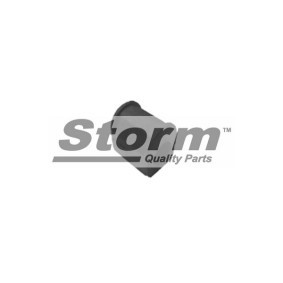 Acquista Supporto braccio oscillante da STORM QUALITY PARTS 60621 a buon mercato per soli 4,31 €