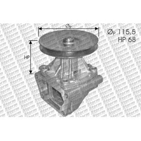 Achetez des Pompe à eau STORM QUALITY PARTS PA10021 à prix pour 107,87 €