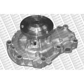 Achetez des Pompe à eau STORM QUALITY PARTS PA10724 à prix pour 65,96 €