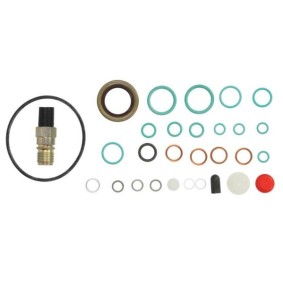 Reparatursatz, Kraftstoffpumpe ENT210002
