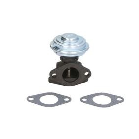Acquista Valvola EGR da ENGITECH online per Allroad (4BH, C5) a prezzi moderati