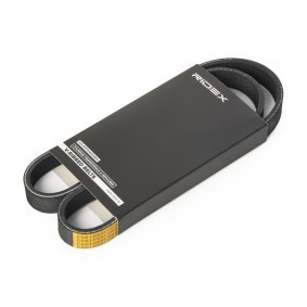 Achetez des Courroie Poly-V RIDEX 305P0551 à prix pour 9,20 €