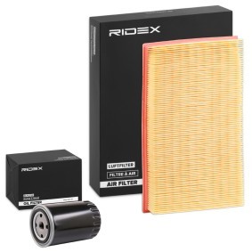 Compre Kit de filtros de RIDEX online para SHARAN (7M8, 7M9, 7M6) a precios moderados