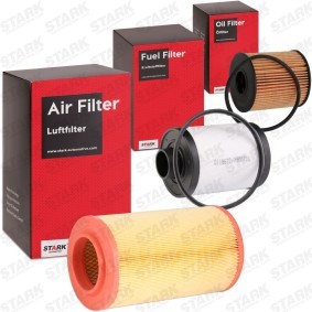 Filterset SKFS-18887951 für DODGE