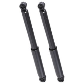 Compre Amortiguadores de RIDEX online para PAJERO PININ (H6_W, H7_W) a precios moderados