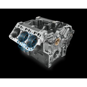 Motorblock 10010000005