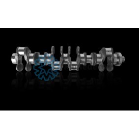 Kurbelwelle 40011000004