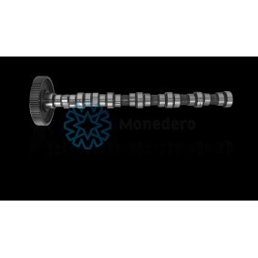 Acquista Albero a camme da MONEDERO 50013000019 a buon mercato per soli 518,37 €