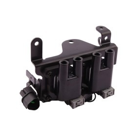 Zündspule 5DA 358 168-001 für Picanto (SA) für 66,02 CHF