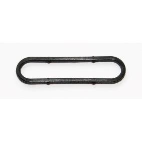 Dichtung, Steuerkettenspanner 236.070